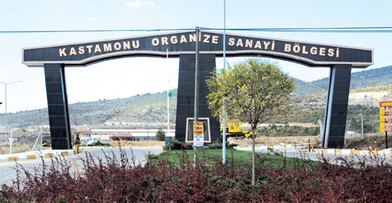 Kastamonu Organize Sanayi Bölgesi makine kurulumu Çince Tercüman